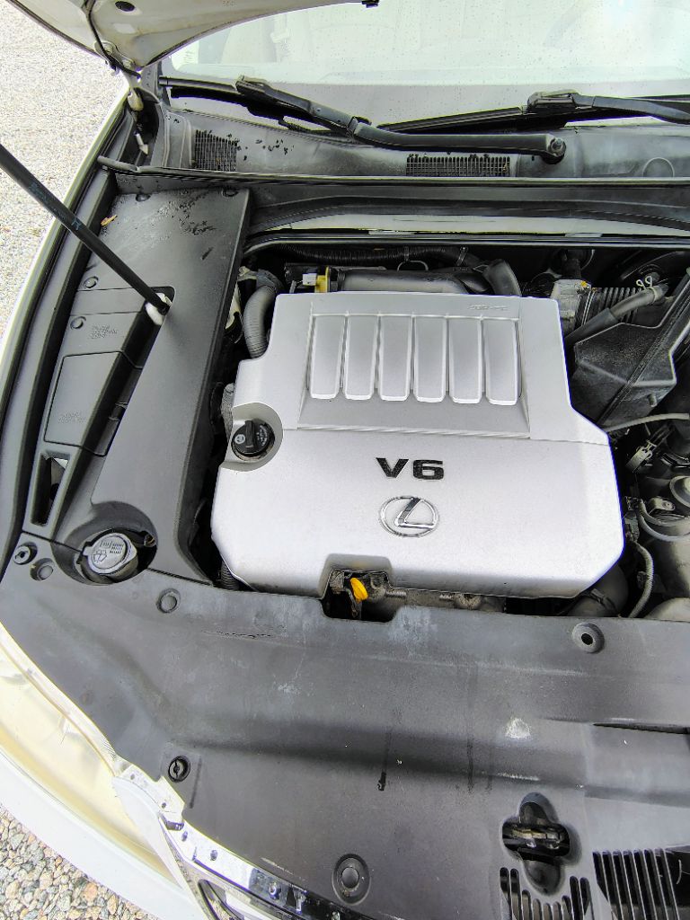 View 25